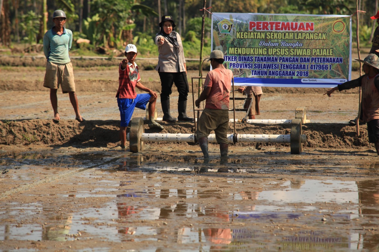 Tingkatkan Hasil Pertanian, Puluhan Petani Desa Wawo Diedukasi Melalui Sekolah Lapang