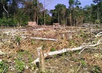 Kapolsek Bone: Kasus Kades Bonetondo Segera Naik ke Tahap Penyidikan