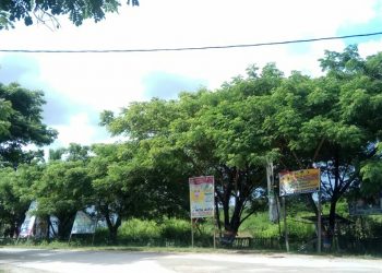 Masa Tenang Pemilu, APK Caleg dan Capres Masih Mewarnai Jalan