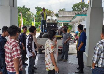 Langgar UU, Gerak Sultra Desak Gubernur Copot Kabid Minerba