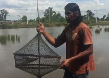 Jalan Haulling PT VDNI Cemari Tambak Warga, Hasil Panen Menurun