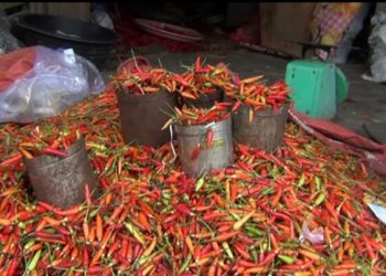 Harga Kebutuhan Pokok “Menggila”, Naik Hingga 70 Persen