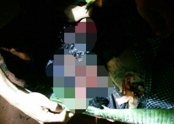 Mayat Perempuan yang Ditemukan Tergeletak di Jalan Ternyata Warga Konsel