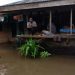 Ratusan Rumah Warga di Pondidaha Terdampak Banjir,  Belum Ada Bantuan Pemerintah