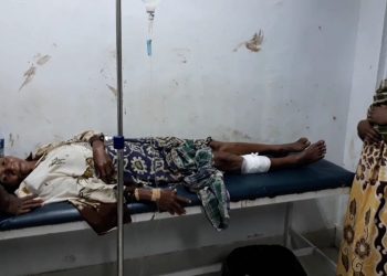 Lagi, IRT di Muna Dipatuk dan Dililit Ular Sanca