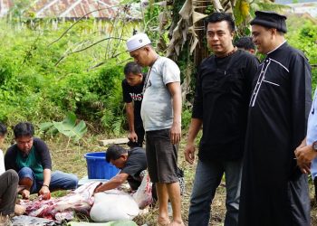 Idul Adha, Claro Kendari Qurban Lima Ekor Sapi