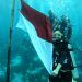 Peringatan Hari Kemerdekaan RI di Wakatobi, Tujuh Negara Asing Berpartispasi