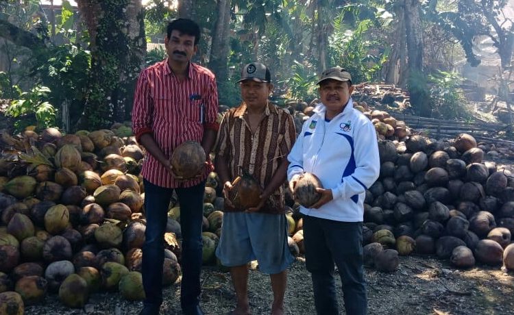 Kepala Dinas Pertanian Konkep, H. Muh. Tahrir (Jaket Putih) saat menemani investor asal India (baju merah) saat berkunjung kepada petani keapa. Foto: Ivhan/TNC.