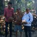 Investor Asing Lirik Potensi Pertanian Kelapa Konkep