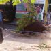 Perjuangan Berqurban