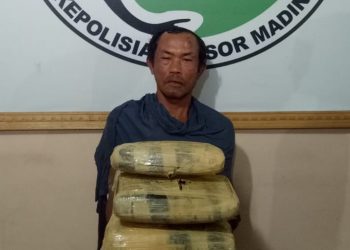 Satres Narkoba Polres Madina Amankan Satu Terduga Pengedar dan Lima Kg Ganja