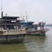 Pukat Trawl Bebas Beroperasi, Aparat Diduga Lakukan Pembiaran