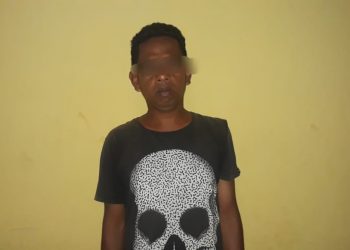 Diduga Cabuli Anak Dibawah Umur, Buruh Pelabuhan di Muna Dibekuk Polisi