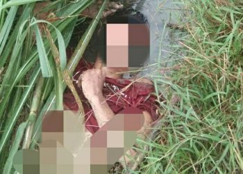 Mayat Pria Tanpa Identitas Gegerkan Warga Kelumpang Kebun