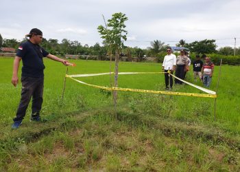Pria Paruh Baya di Konsel Ditemukan Meninggal di Pematang Sawah