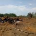 Perjuangan Pria Paruh Baya di Kolaka Tuntut Keadilan, Lahan Diserobot dan Tanaman Dirusaki