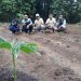 Pasar Menjanjikan, Petani di Muna dan Muna Barat Mulai Kembangkan Tanaman Porang