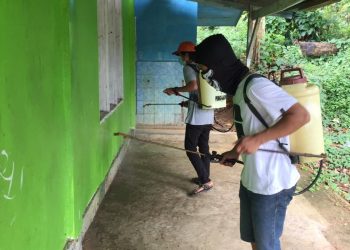 Antisipasi Penyebaran Covid-19, Kaum Muda Kecamatan Besulutu Lakukan Penyemprotan Disinfektan