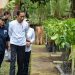 Terkait Deforestasi dan Hutan Primer, Begini Penjelasan Menteri LHK