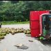 Truk Gas Terbalik, 560 Tabung Berserakan di Jalan
