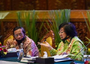 Menteri LHK Yakin Ada Solusi Permanen Atasi Karhutla