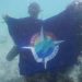 Antam Diving Club Gelar Kegiatan Bersih-bersih Pesisir dan Dasar Laut