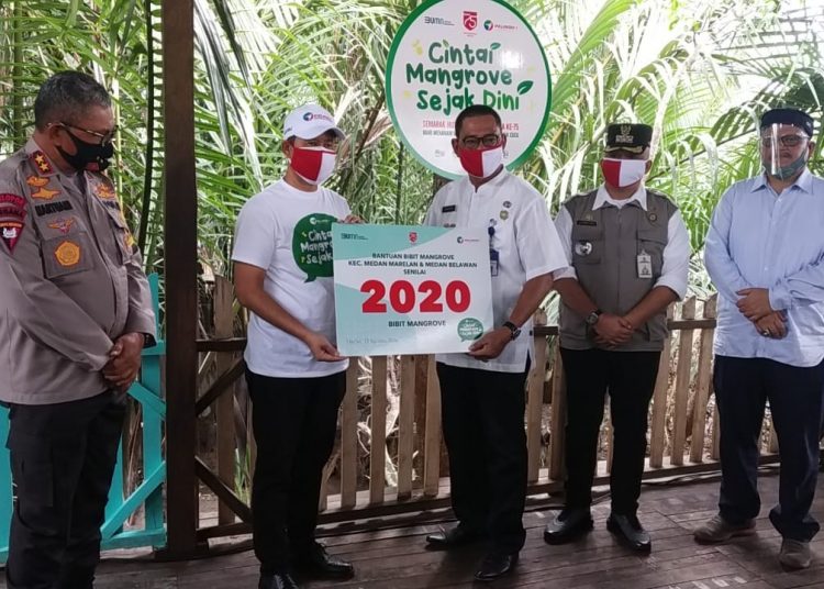 Pelindo 1 menanam 2020 mangrove.
