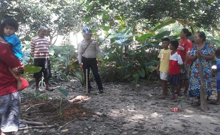 Warga berkerumun melihat hewan mati yang dihisap darahnya.