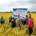 Anggota DPR RI, Rusda Mahmud Panen Padi BATAN di Sultra