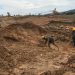 PT. PLM Kembali Berulah : Emas Dikeruk, Limbah Cemari Sawah Petani