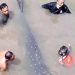 BKSDA Sultra Selamatkan Ikanyang Terdampar di Sungai
