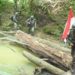 TNI Sisir Puncak Ilaga Papua, Kelompok Kriminal Bersenjata Terdesak