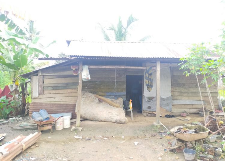 Inilah kondisi rumah Mario.