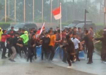 Aksi Protes Teror Kejahatan Lingkungan PT VDNI dan PT OSS Berakhir Ricuh, Demonstran Dipukuli Preman