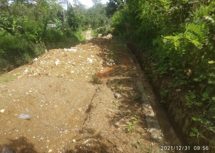 Kondisi jalan usaha tani di Desa Puungaluku, Konawe.