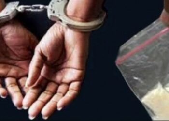 Diduga Terlibat Narkotika, Bos THM Bersama Satu Kurir Diamankan Polisi