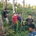 PT GMS Bantah Tudingan Serobot Lahan Warga di Laonti