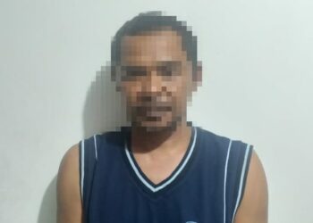 Cabuli Anak Tirinya, Bambang Warga Desa Lameuru Ditangkap Polisi