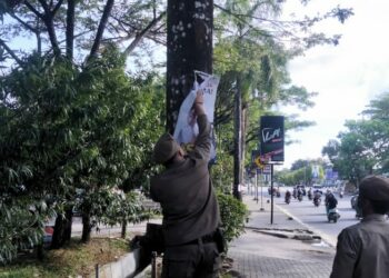 Langgar Perda, Personil Satpol PP dan DLHK Copot Baliho Andi Sumangerukka