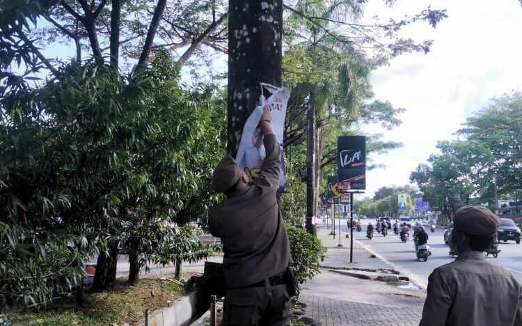 Anggota Satpol PP Kota Kendari mencopot pamflet ASR yang terpasang di pohon.