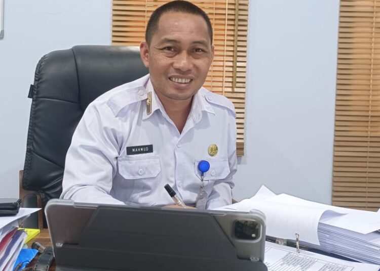 Kepala BKD Konawe Kepulauan, Mahmud. - Foto : Ivhan-
