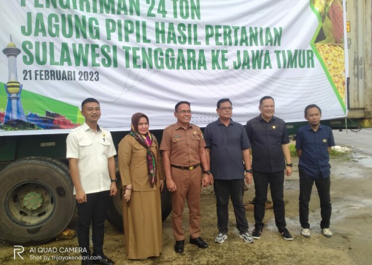 Sebanyak 24 ton jagung dikirim Kadin Sultra ke Jawa Timur. -foto:trijayakendari.com-