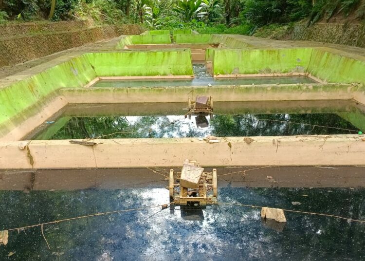 Kondisi air kolam lindih TPAS Puuwatu yang mencemari lingkungan Kelurahan Wua-wua, Kota Kendari. -foto:munir-