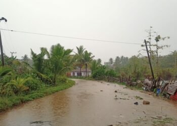 Jalan Wirabuana Jadi Langganan Banjir Ketika Hujan