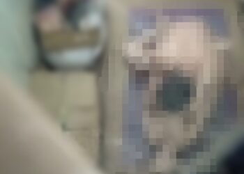 Direkam Diam-diam Dari Atas Plafon, TKA dan WNI Mesum di Mess Perusahaan Tambang Morosi