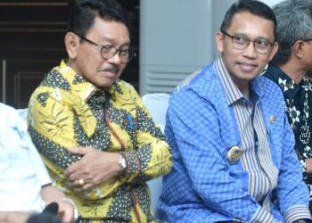 Pj Walikota Bau-bau Dukung Wujudkan Aplikasi Data Desa Presisi