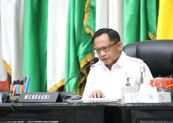 Mendagri Minta Pemda  Percepat Menanam Untuk Kendalikan Inflasi
