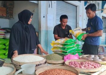 Harga Beras Melonjak di Wakatobi, Kepala Bulog Lakukan Sidak Pasar