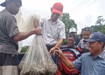 Pemda Wakatobi Berhasil Panen Persia Udang Vanamei