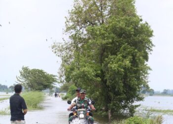 Menteri Pertanian Pastikan Lahan Petani Terdampak Banjir Dapat Bantuan
